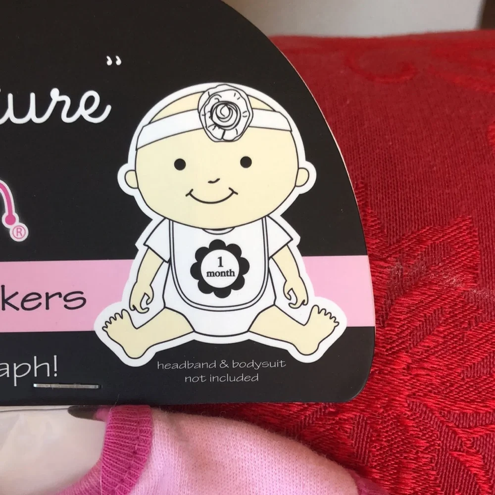 Milestone pink Bib with 12 flower monthly stickers for the perfect picture